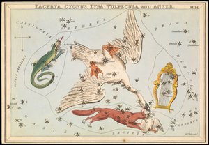 Lacerta, Cygnus, Lyra, Vulpecula and Anser, c.1825 by Sydney Hall