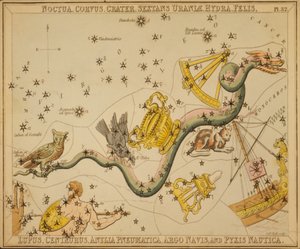 Noctua, Corvus, Crater, Sextans Uraniæ, Hydra, Felis, Lupus, Centaurus, Antlia Pneumatica, Argo Navis, and Pyxis Nautica, Illustration from 