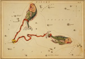 Pisces, Illustration from 
