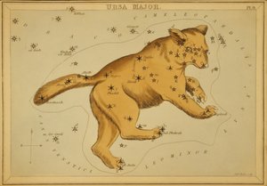 Ursa Major, Illustration from 