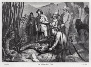 King Edward VII with the tiger he has killed