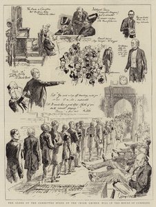 The Close of the Committee Stage of the Irish Crimes Bill in the House of Commons