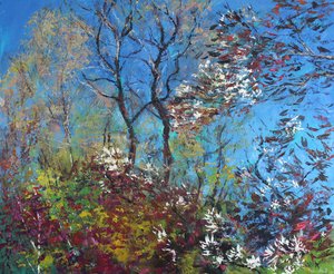 Blossom and Blue Sky