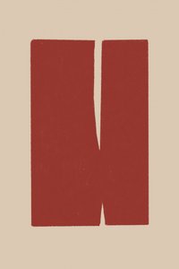 Split Red Shapes