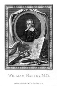 William Harvey, medical doctor by T. Cook