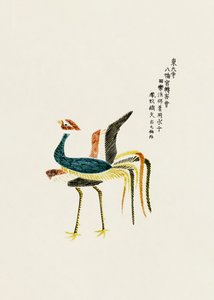 Ruster from Yatsuo No Tsubaki by Taguchi Tomoki