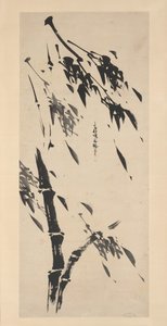 Bamboo in the Wind