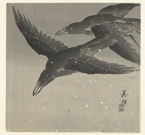 Crows in the Snow