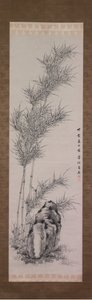 Bamboo in Summer