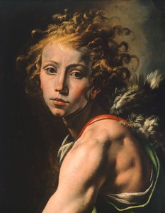 Figure of David (detail) by Tanzio da Varallo