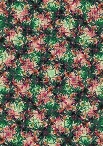 Tropical Palm by Tara Whitehead
