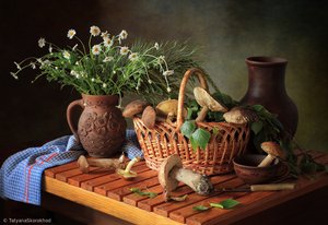 Autumn Mushroom Still Life