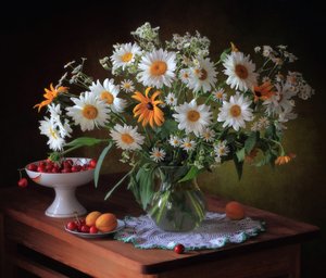 Country Daisy Still Life by Tatyana Skorokhod