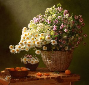 Summer Daisies and Apricots by Tatyana Skorokhod