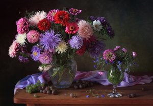 Vibrant Aster Still Life