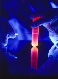 Extracting nucleotides of RNA from a plastic centrifuge tube by Ted Spiegel