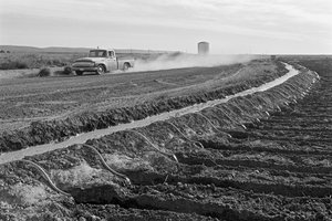 Family farmer Ed Ker at A.M. Ker Ranch is an agricultural homesteader growing alfalfa by Ted Spiegel
