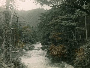 Autumn Forest in the Yamanaka Region, circa 1900 - 1915