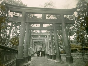 Torii in the Inari Kyoto Shrine, circa 1900 - 1915 by Teijiro Takagi