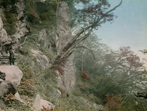 On the Road to the Kegon Waterfalls in Nikko, circa 1900 - 1915 by Teijiro Takagi