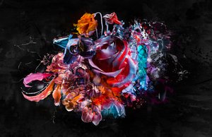 Bouquet XVI by Teis Albers