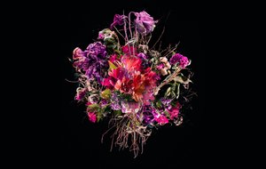 Bouquet VIIII, 2018