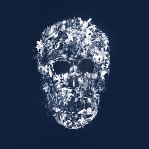 FloralSkull by Teis Albers