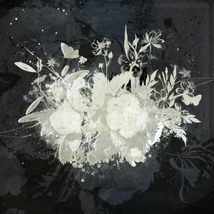 Floral Silhouette by Teis Albers