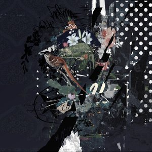 Floralbirds