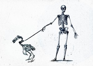 Walking My Dodo by Teis Albers