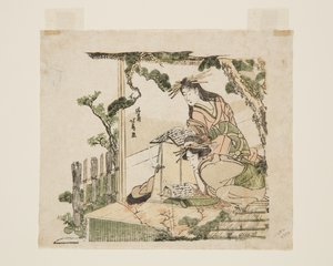 Unknown Image