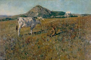 Pasture in Pietramala
