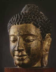 Giant Buddha Head with Closed Eyes, Srivijaya Style