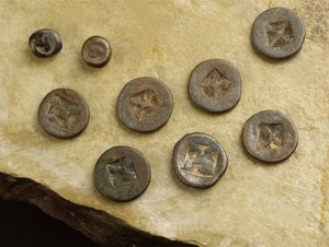 Money with flower and namo marks from the Srivijaya Kingdom
