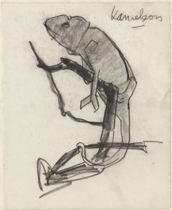 Chameleon
