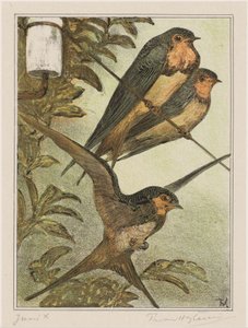 Three Swallows by Theo van Hoytema (signed by artist)