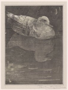Floating Duck by Theo van Hoytema (signed by artist)