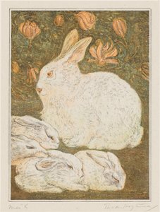 Rabbits