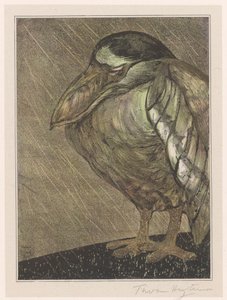 Boat-Billed Heron in the Rain by Theo van Hoytema (signed by artist)