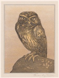 Little Owl on Rock by Theo van Hoytema (signed by artist)