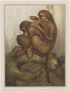 Grooming Monkeys