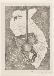 White Cockatoo by Theo van Hoytema (signed by artist)