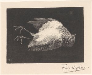Dead Robin by Theo van Hoytema