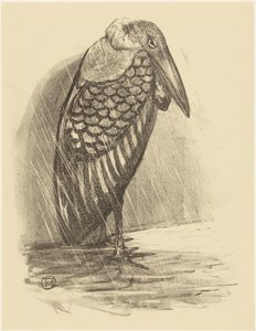 Marabou in the Rain by Theo van Hoytema