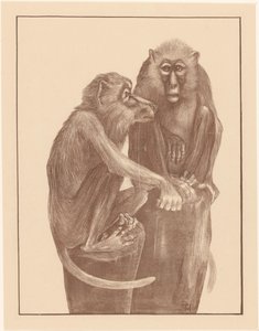 Two Monkeys on Tree Stumps (Animal Studies)