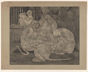 Five Monkeys in a Cage