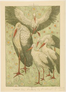 Five storks in a meadow