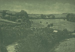 Camera Work: Meadow-brook