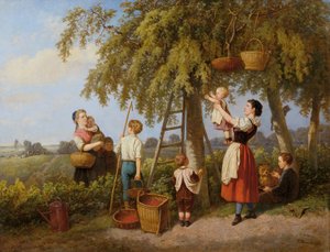 The Cherry Harvest