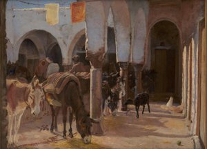 A Donkey House in Tunis